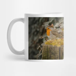 Small Bird with Orange Tummy Mug